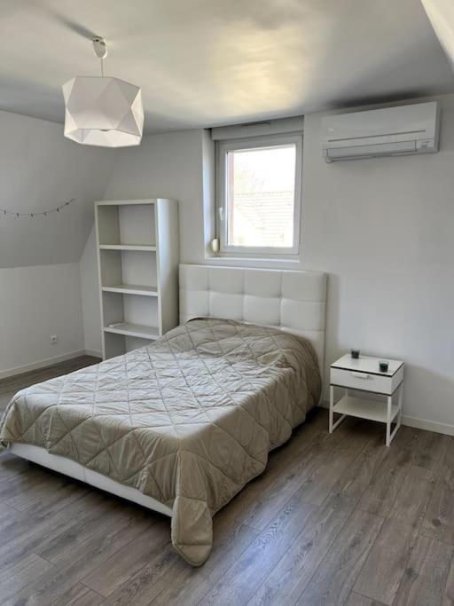 Appartement F5 Maison De Maitre Mulhouse Luaran gambar
