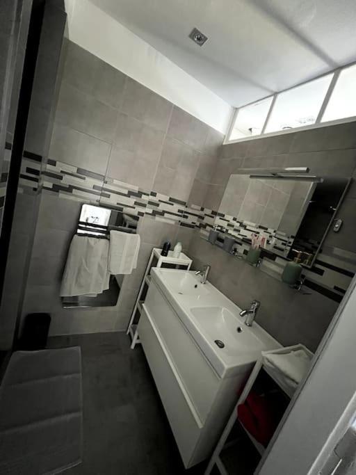 Appartement F5 Maison De Maitre Mulhouse Luaran gambar