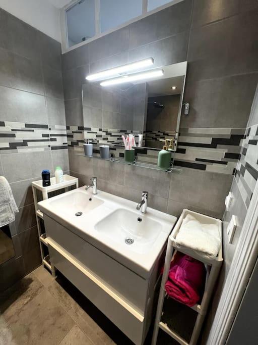 Appartement F5 Maison De Maitre Mulhouse Luaran gambar