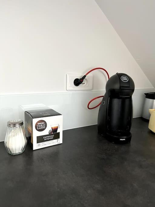 Appartement F5 Maison De Maitre Mulhouse Luaran gambar