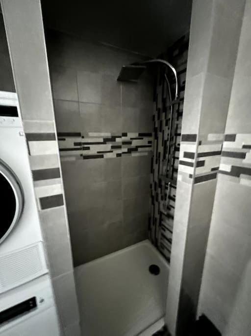 Appartement F5 Maison De Maitre Mulhouse Luaran gambar