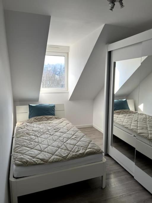 Appartement F5 Maison De Maitre Mulhouse Luaran gambar