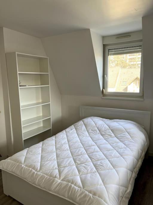 Appartement F5 Maison De Maitre Mulhouse Luaran gambar