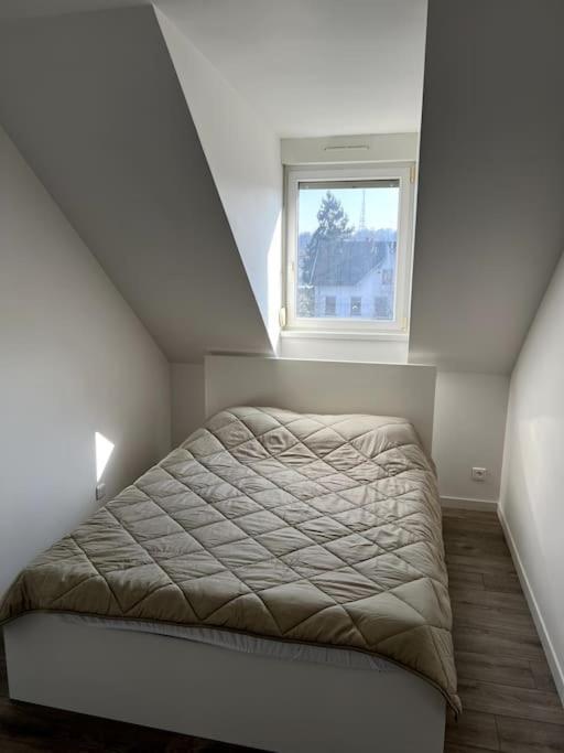 Appartement F5 Maison De Maitre Mulhouse Luaran gambar