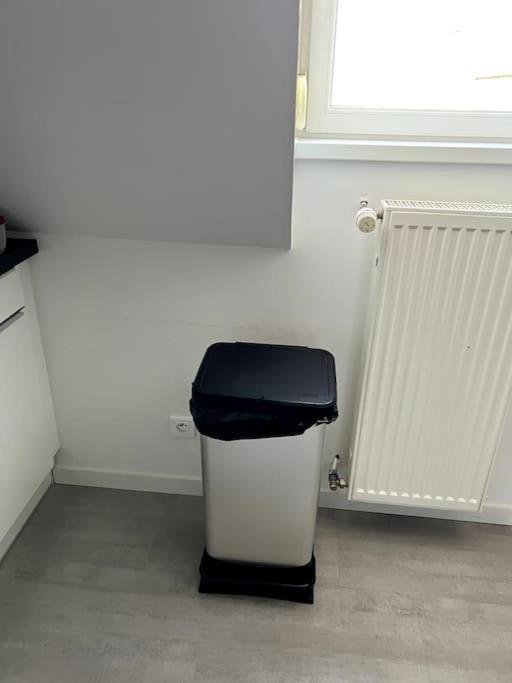 Appartement F5 Maison De Maitre Mulhouse Luaran gambar