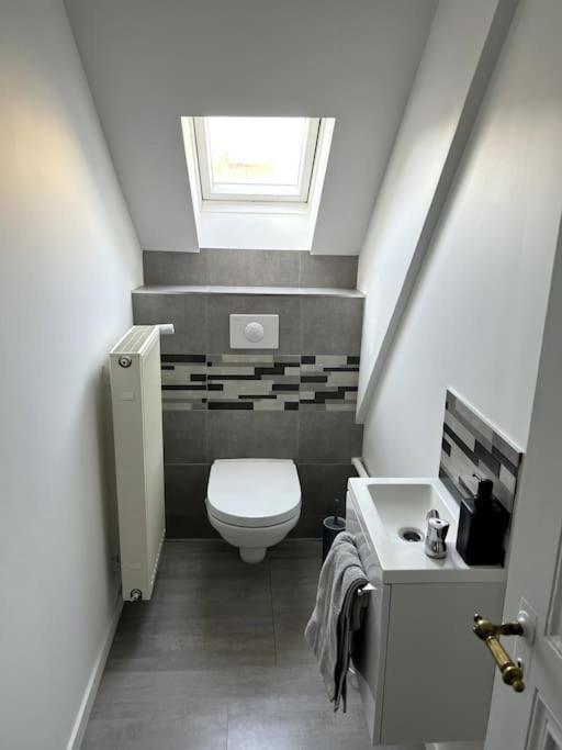 Appartement F5 Maison De Maitre Mulhouse Luaran gambar